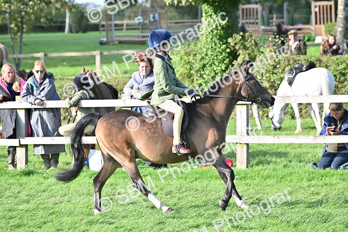 SBM_51248 - S22 - First Ridden show and show Hunter Pony