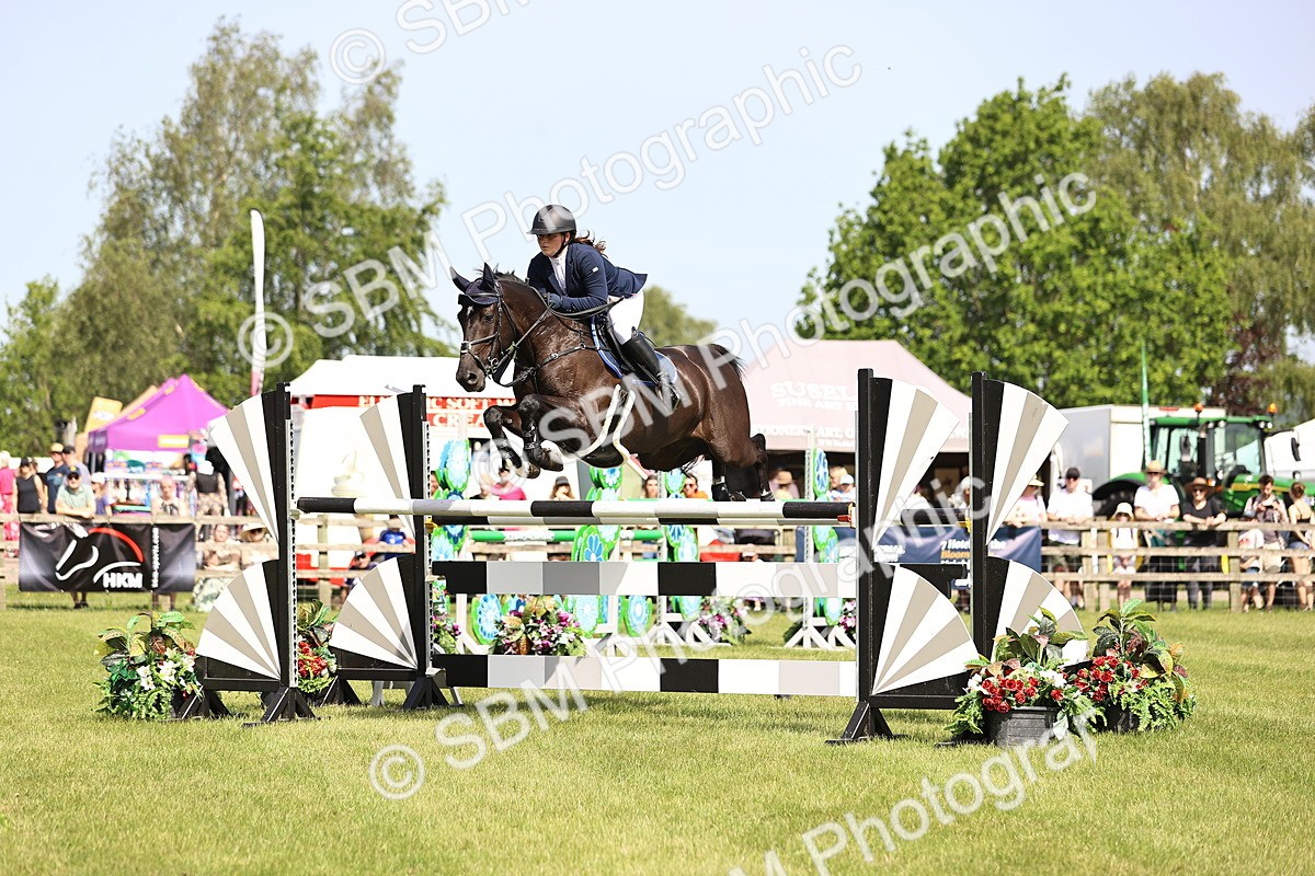SBM_03075 - Class 201 - British Horse Feedds Speedi Beet HOYS Grade C