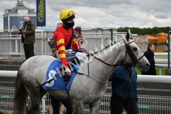 yr22052021r1-12 - Race 1 2.05pm William Hill Pick Your Places Stakes