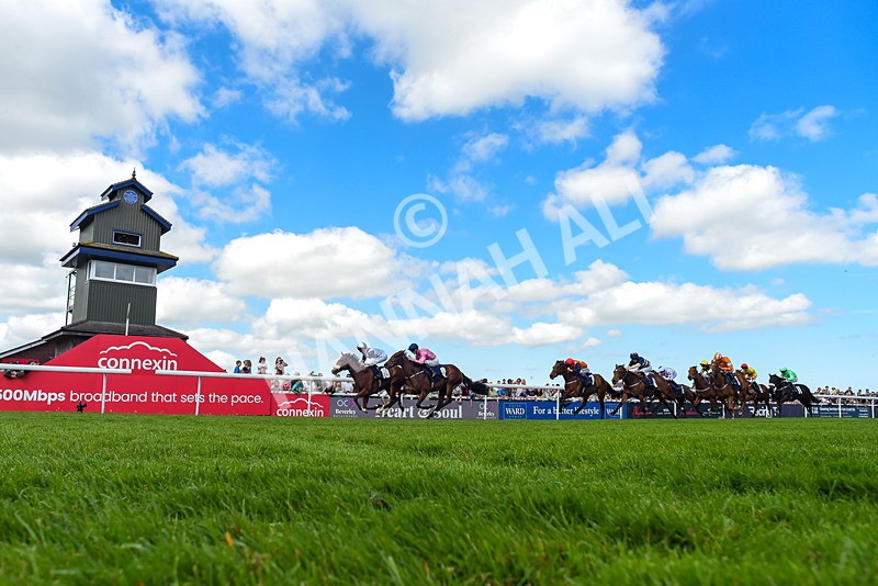 040526-Race 2-Moonlight Tango-1924 - Race 2