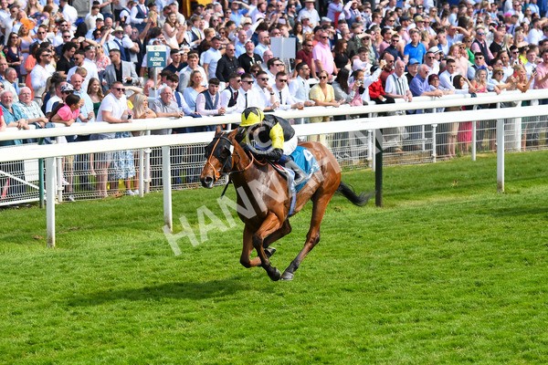 270523-Race 5-Starnberg-0774 - Race 5 3.50pm William Hill Extra Place Races Daily Handicap