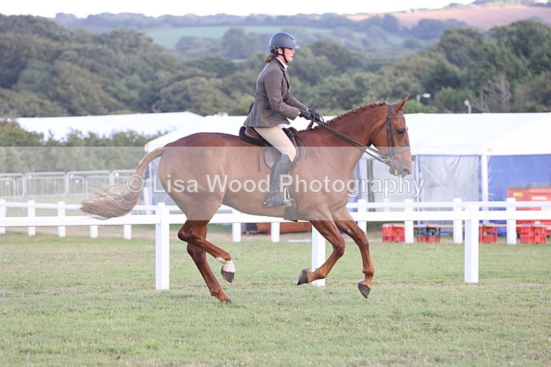 JPP_3678 - Class 24: Open Working Hunter