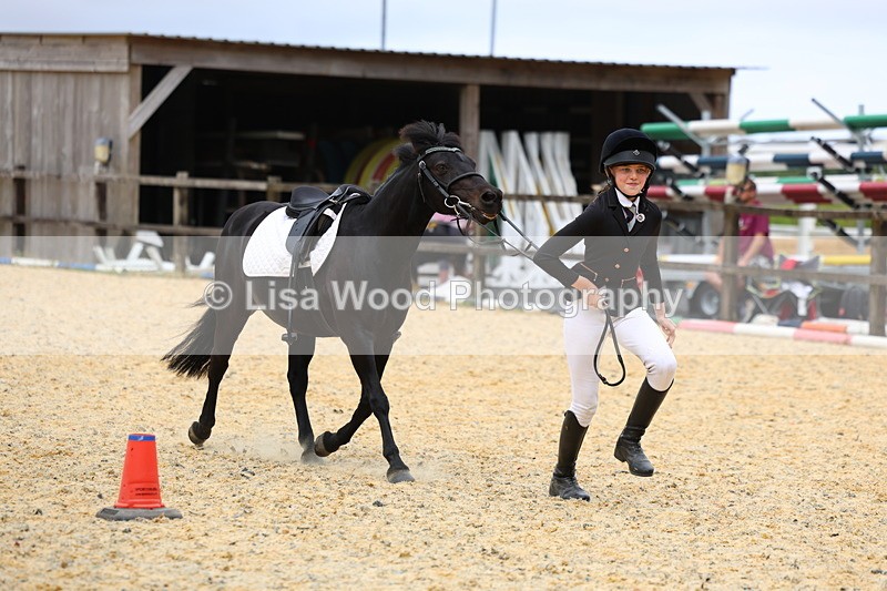 3E7A9671 - Walk trot run