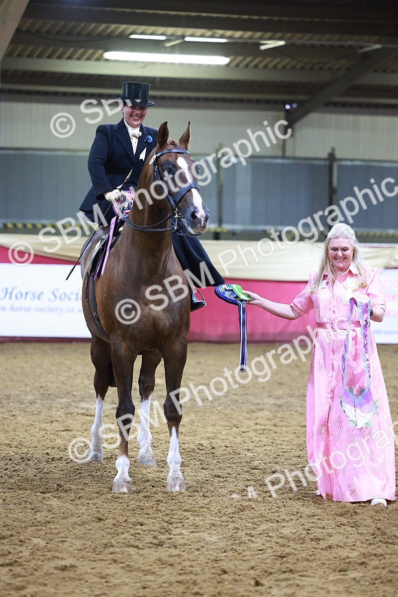 SBM_14740 - Class J - Foreign Breeds Champ