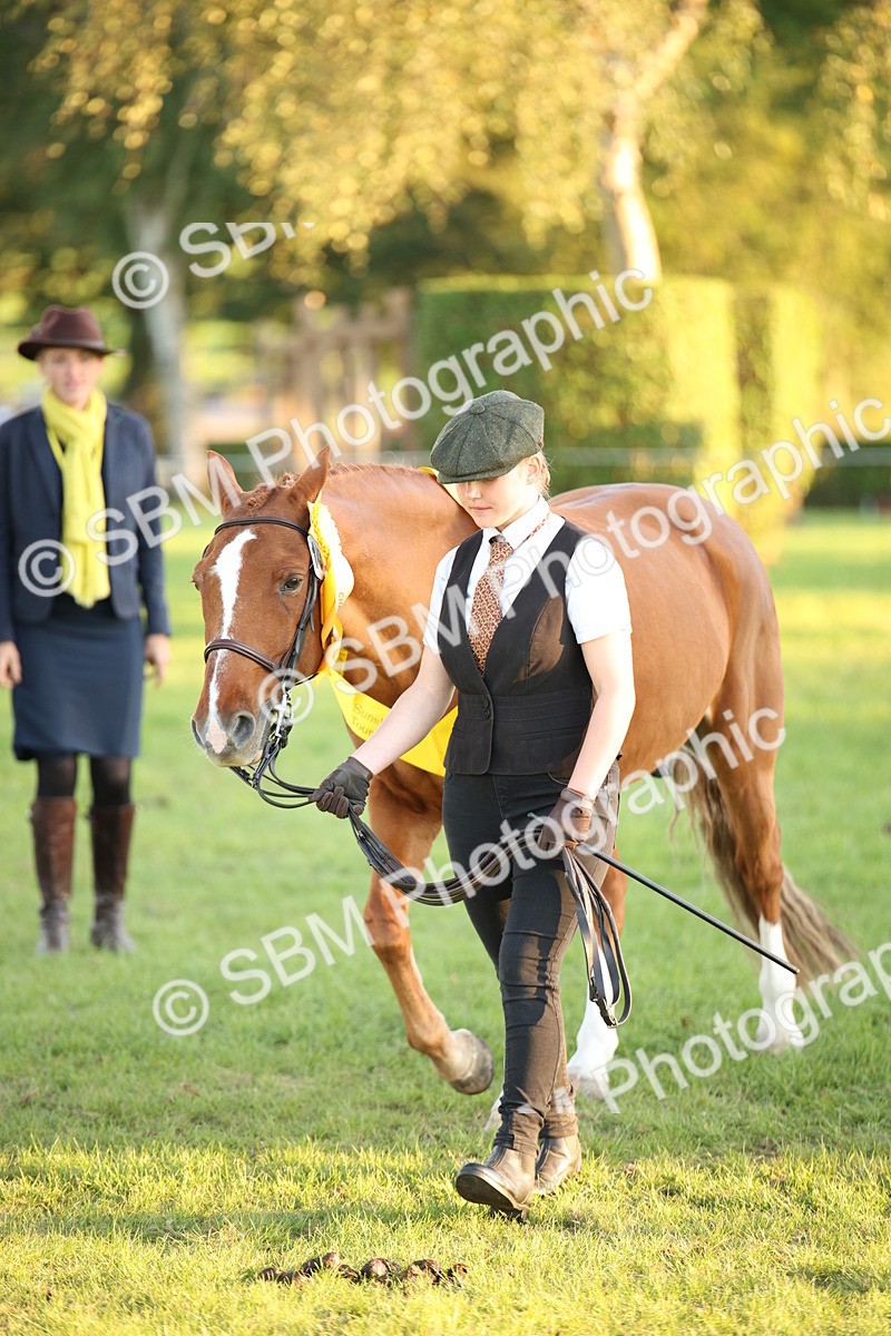 SBM_57056 - Veteran Supreme Championship