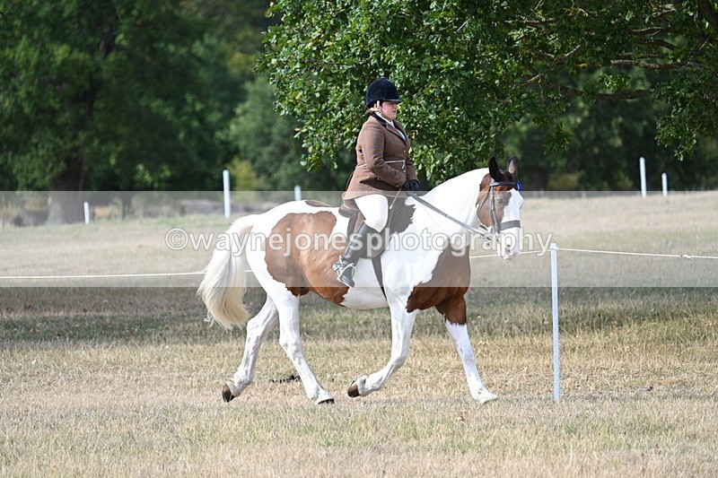 WJ7_7626 - Ridden Championship