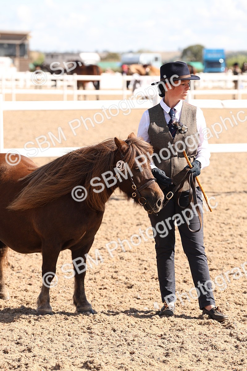 SBM_13944 - Class 205 - IH Show Pony - Show Hunter Pony