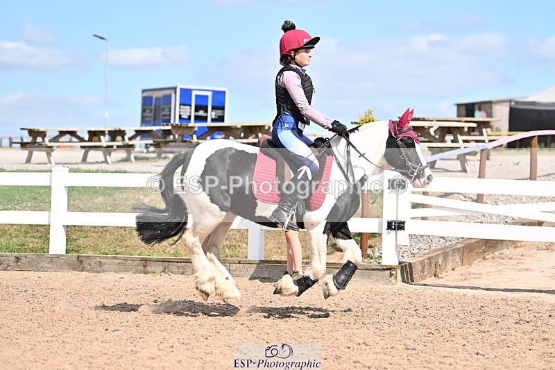 250821B-150259-00913 - Group D - Thomasina