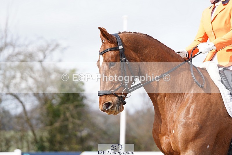 250322-110642-00208 - DR Elementary 1 Test