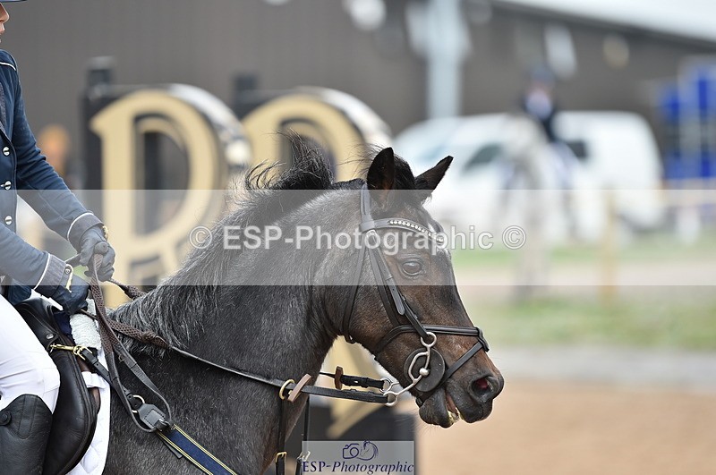 230902A-111952-00671 - Cls 2B Pony Small 80cm