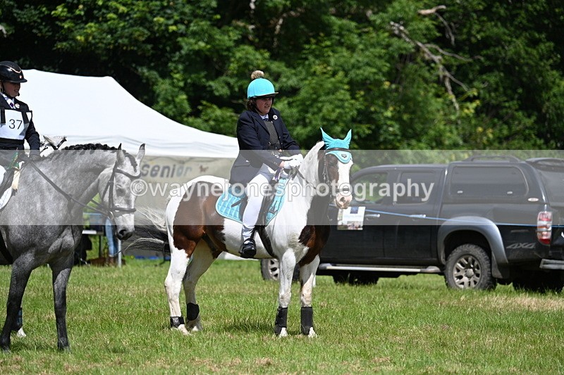 WJ7_1871 - Class 9 Pony Club Pony
