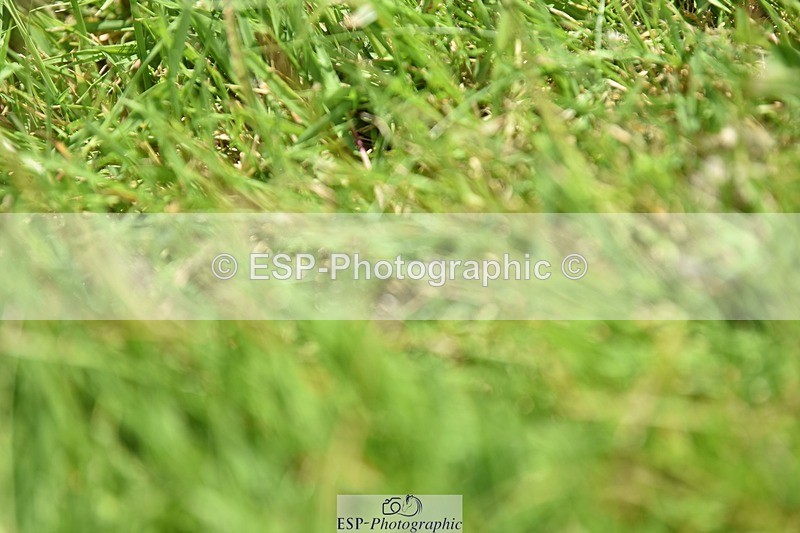 240605-140206-00559 - Cls 5 Elementary 43