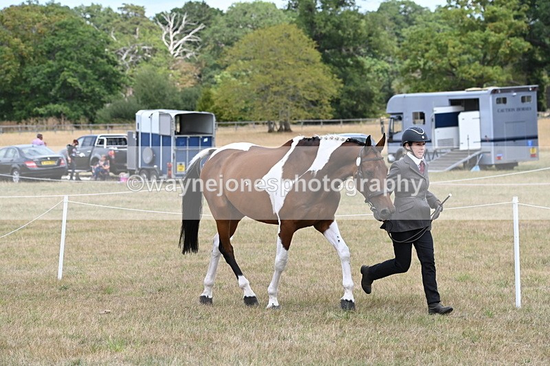 WJ6_5995 - Class 19 In-hand Veterans (Uploaded correct folder)