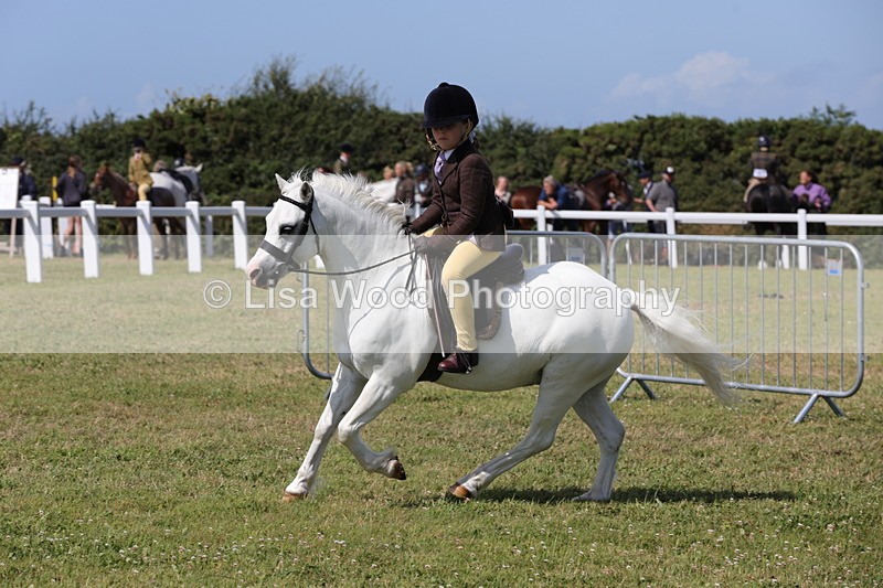 1X9A5390 - Class 37: NPS M&M First Ridden
