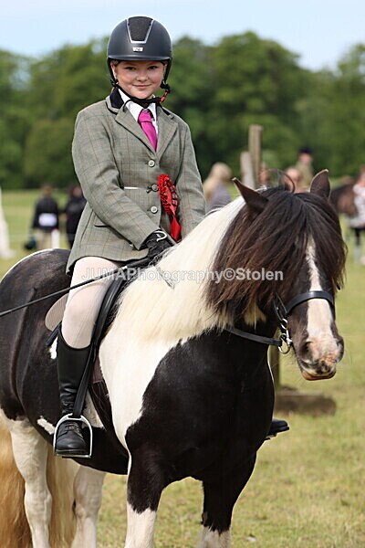 IMG_2419 - Working Hunter