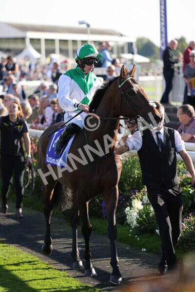 yr08102021r3-11 - Race 3 3.15pm Download The Casumo App Today Handicap