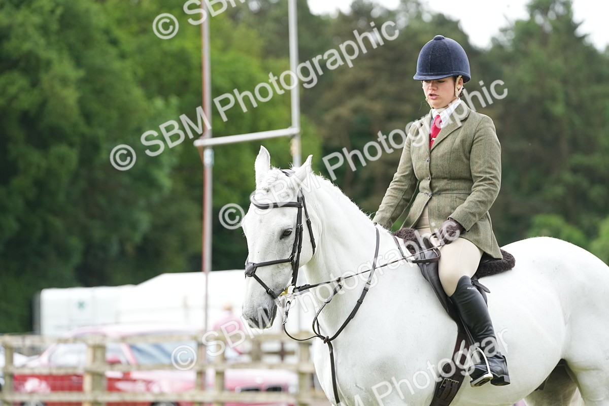 SBM_12774 - Class 97-98 - LIHS BSHA Rising Star Working Show Horse Hunter