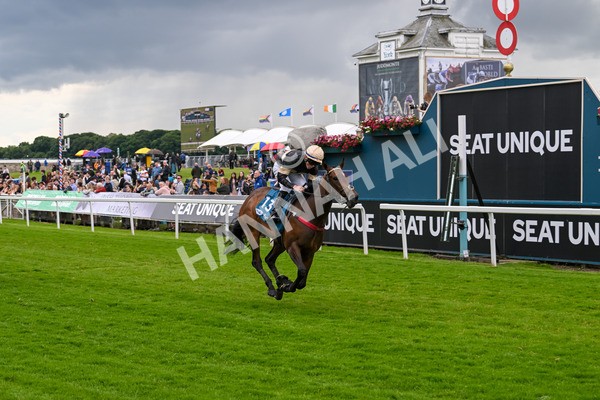 140624-Race 3-Alfa Kellenic-4332 - Race 3 3.00pm British EBF Supporting Racing With Pride Fillies' Handicap