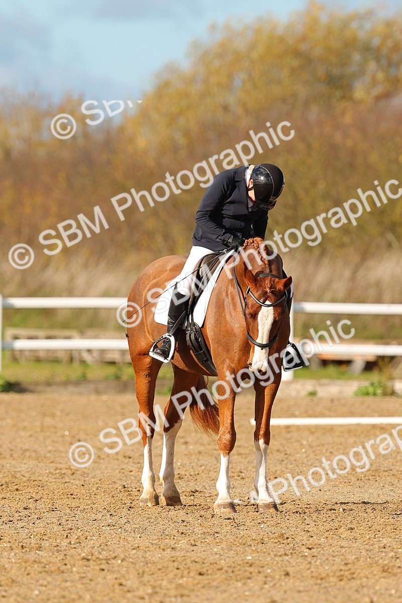 SBM_000781 - Novice 4