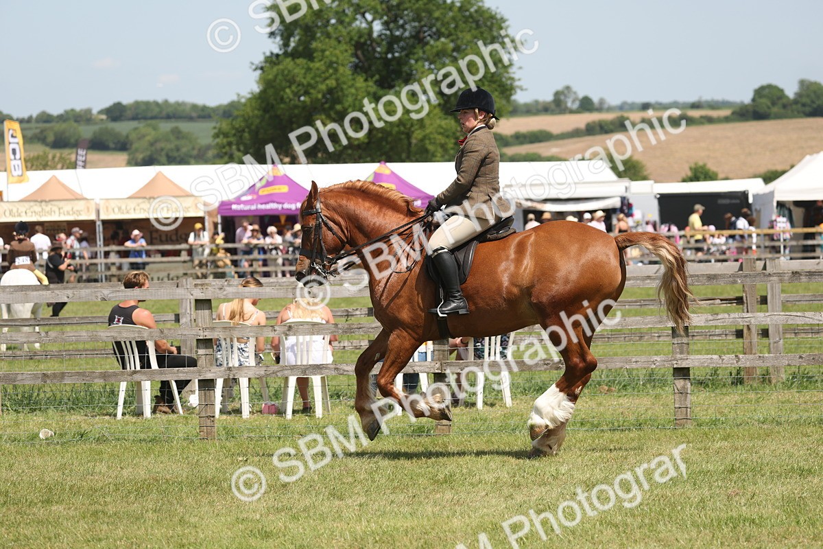 SBM_06951 - Class 26-30 - Mountain and Moorland Ridden