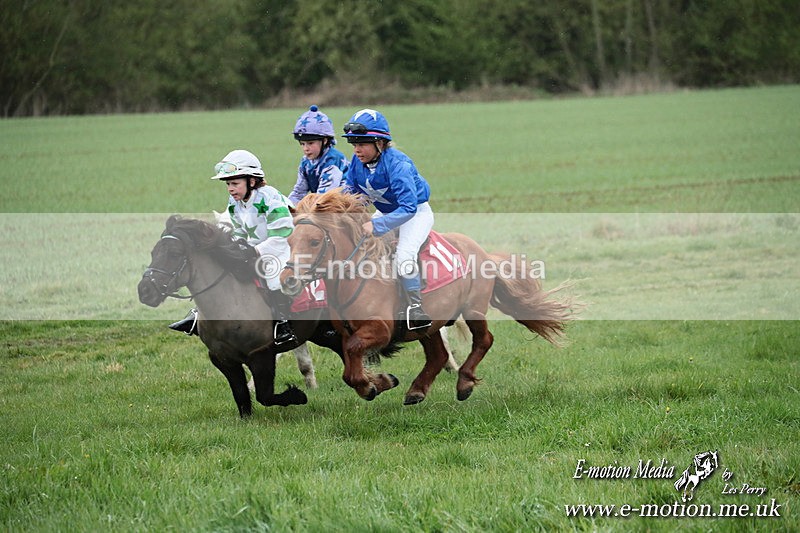 SHETPR 210425 194 - Shetland Ponies Paxford Races 21/04/25