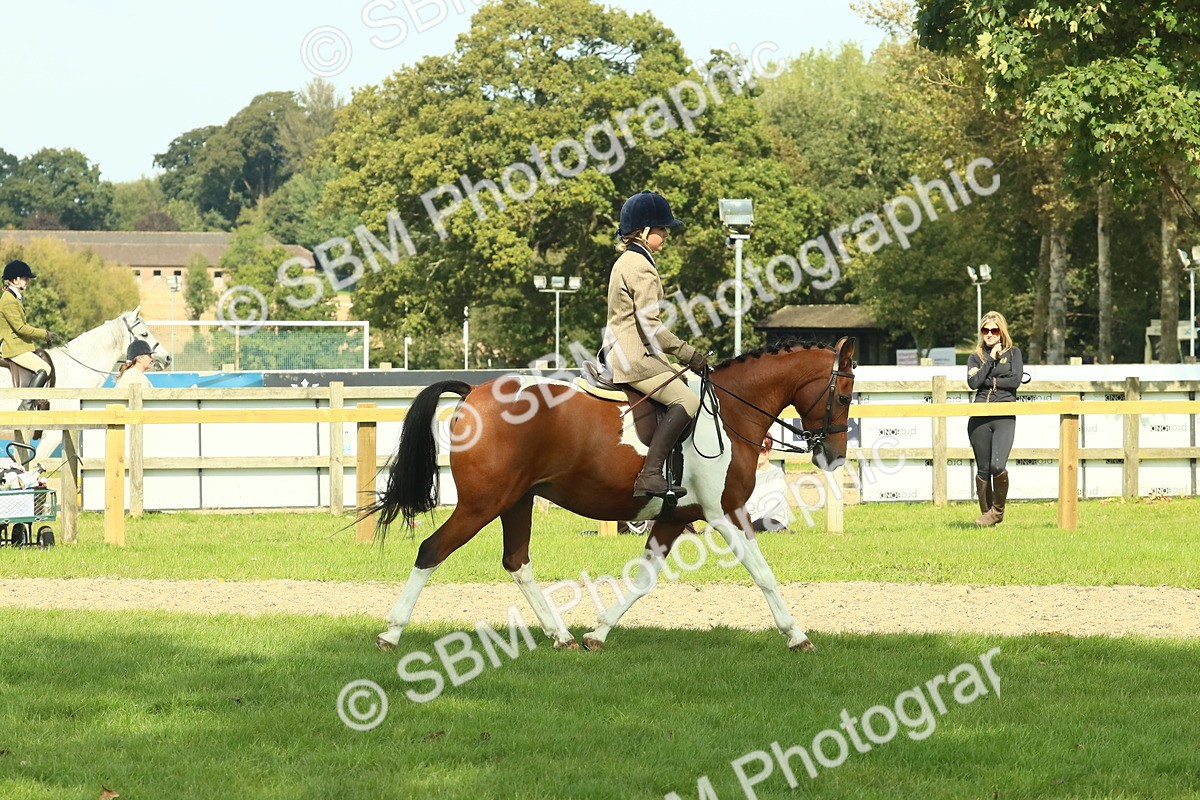 SBM_67484 - S56 - Coloured Pony Ridden
