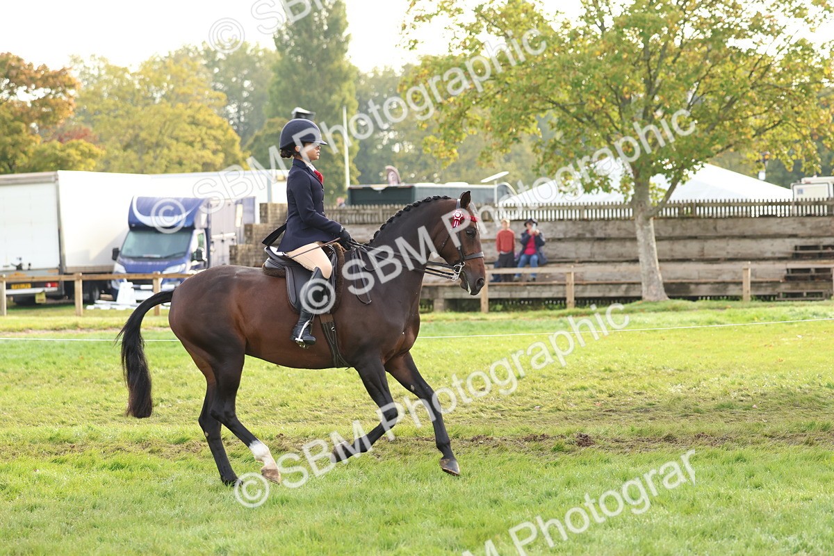SBM_56588 - S40 - Starters Ridden Showing