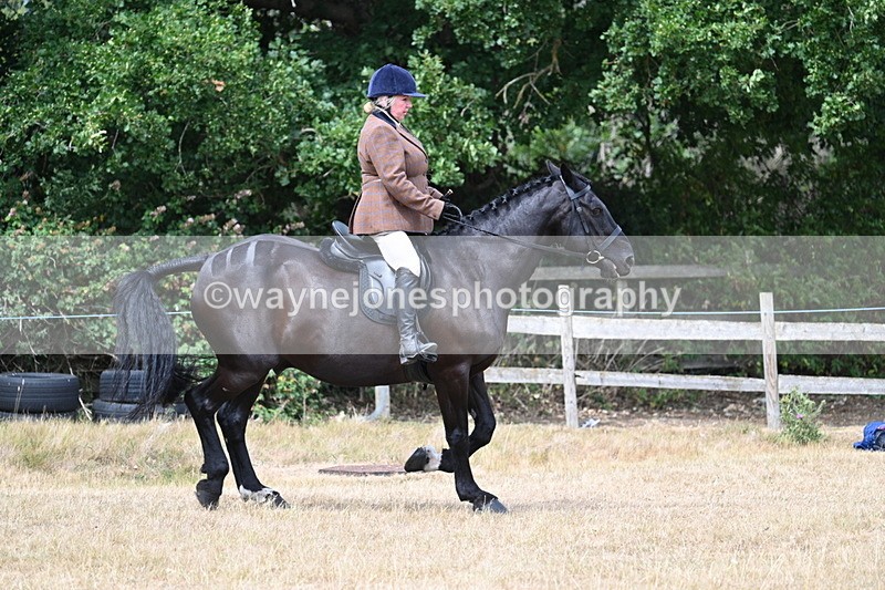 WJ7_1310 - Class 8 Ridden Veterans
