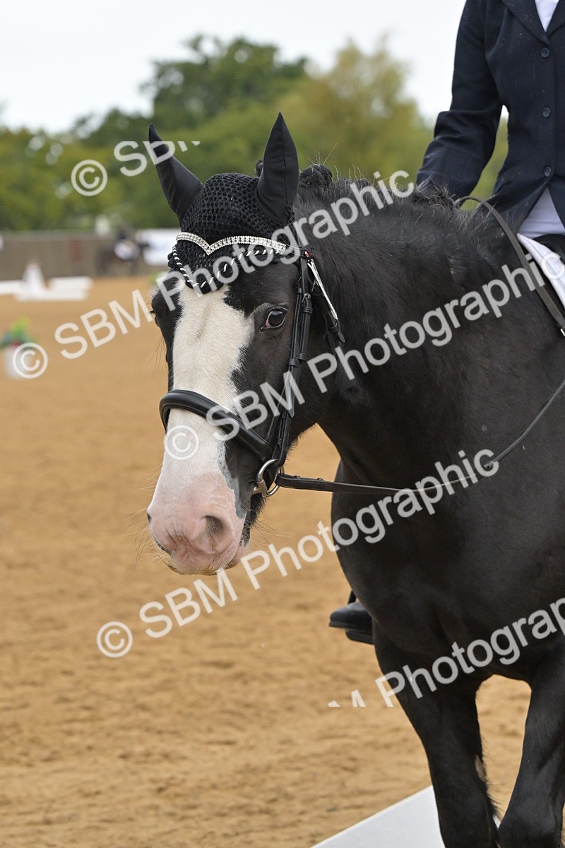 SBM_00557 - D2 - Small Tour Championship Intro 2