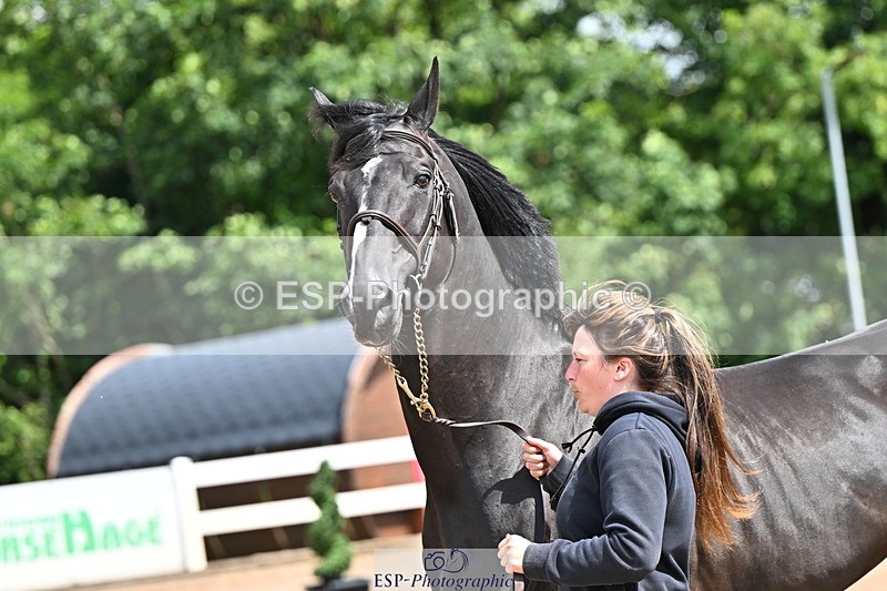 240718A-105241-01030 - Trot Up 11am to 12pm