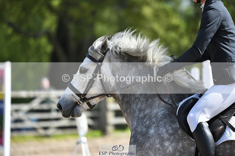 230512-104009-00567 - Cls 10 Snr 85cm Schooling