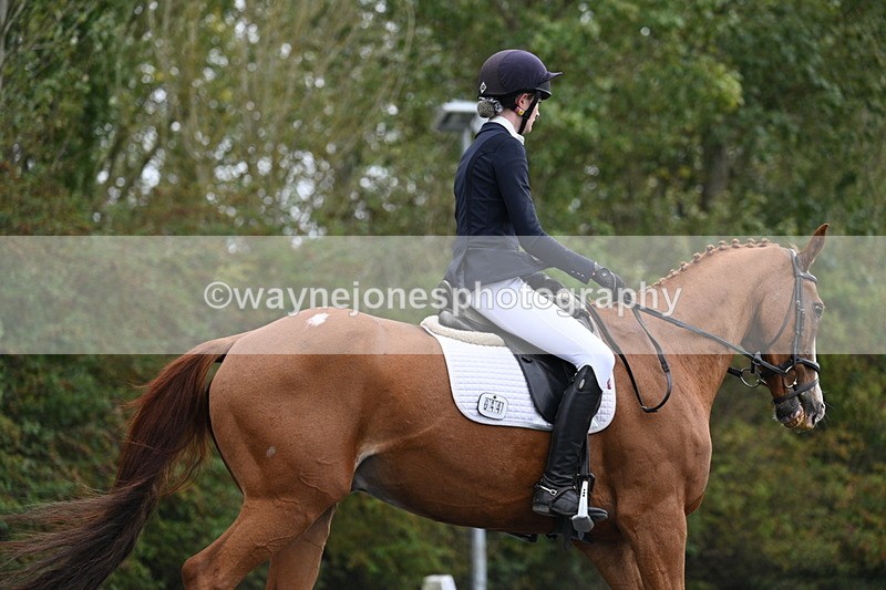 WJ7_6649 - Time 14:49 to 15:14