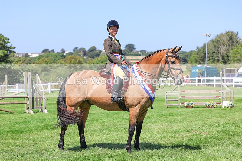 3E7A9291 - Working Hunter Championship