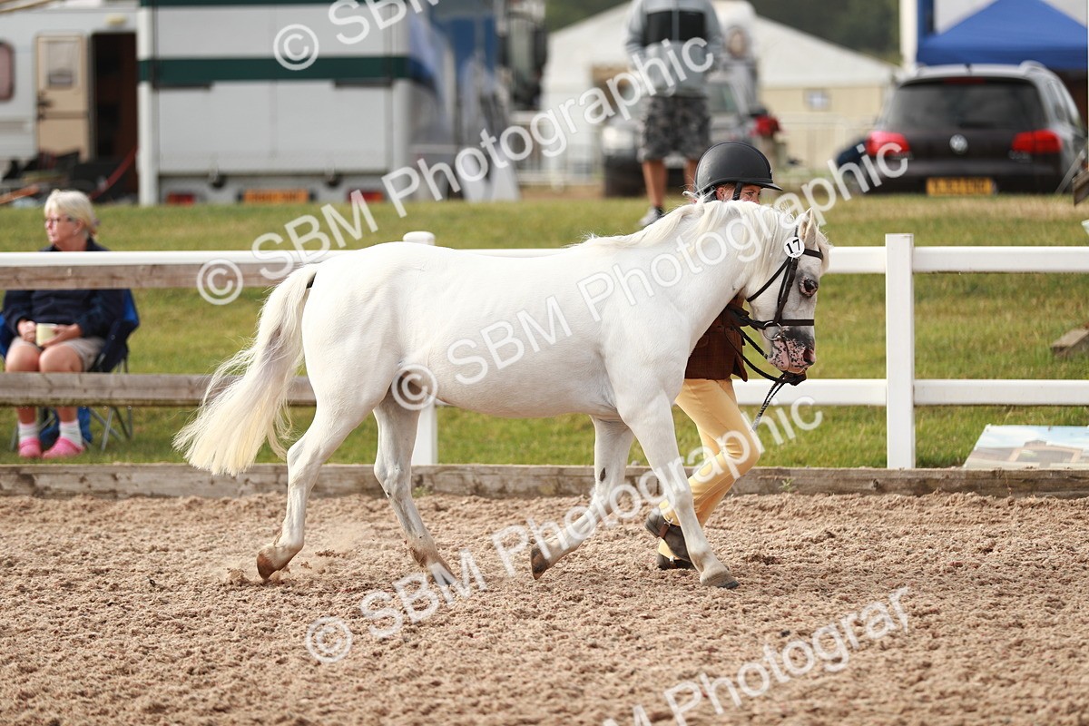 SBM_09853 - Class 203 Young Handler, 10 years and under