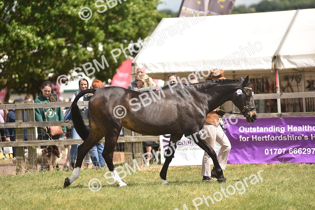 SBM_15799 - Class 115-116 - SSADL Home Produced Members Qualifier