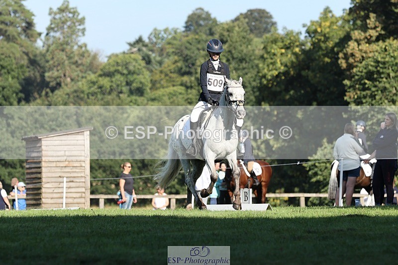 250823A-090643-25862 - Arena D