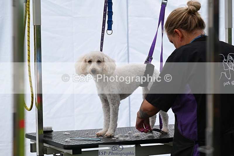 240525-114715-12620 - Candid and Saturday Hobby Horse