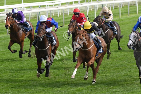 yr12052021r6-7 - Race 6 4.15pm British Stallion Studs EBF Novice Stakes