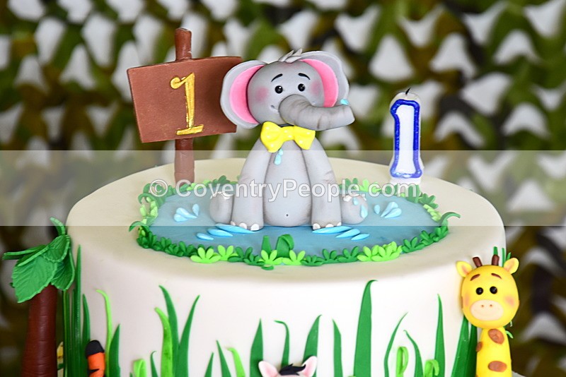 ADN-412 - Aiden's 1st Birthday