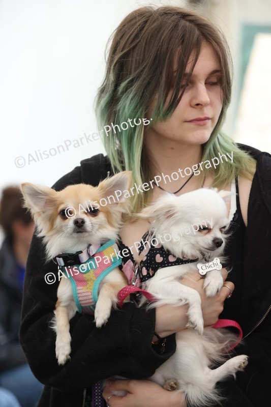 20250607-0032 - Misc