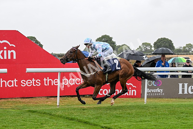 150725-Race 2-Pearl Fortune-0196 - Race 2