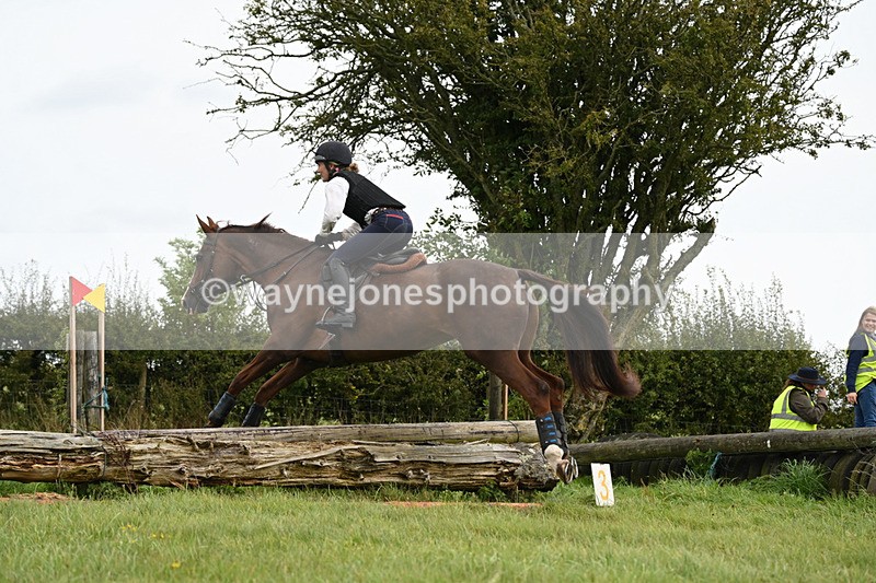 WJ6_9918 - Time 14:11 to 14:30