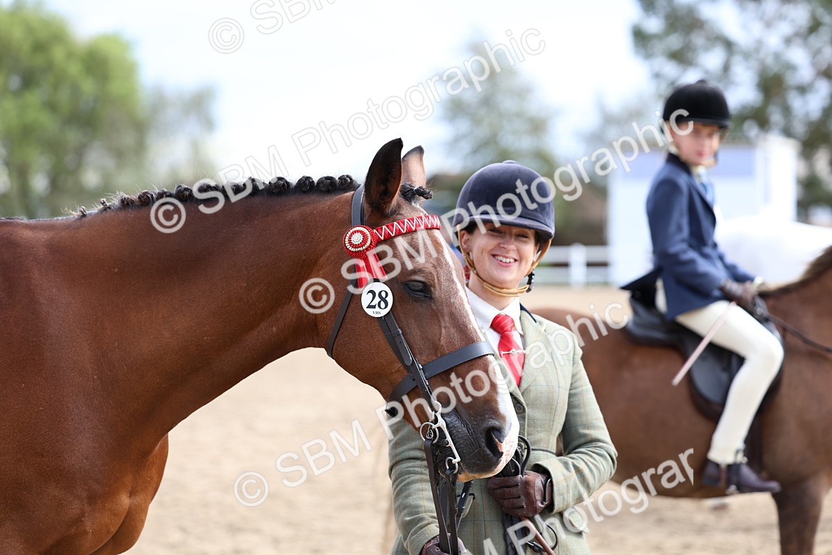 SBM_01867 - Class 18 - Handsomest Gelding - IH or Ridden