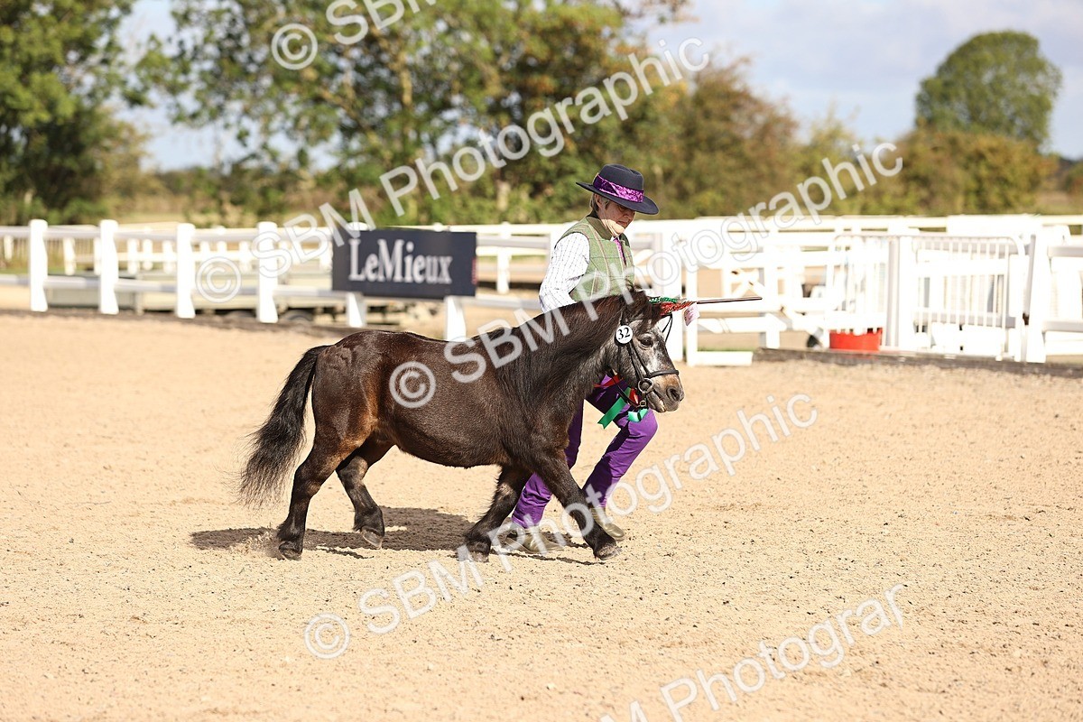 SBM_08562 - Class 402 - IH Veteran Pony