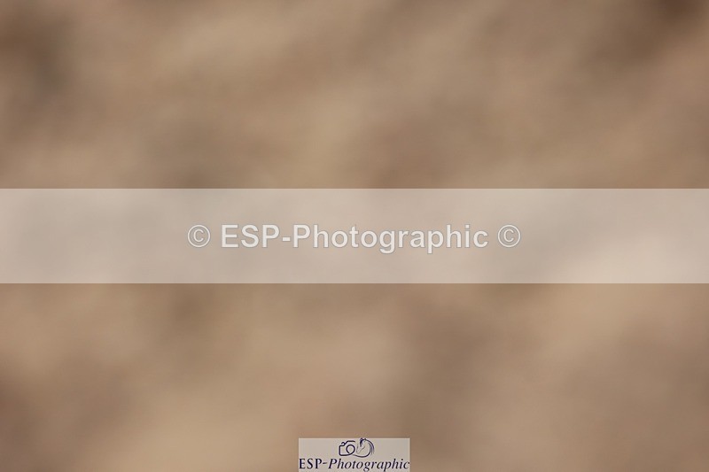 250621-150252-09849 - Cls 40 - FEI Inter I, Start to 15.50