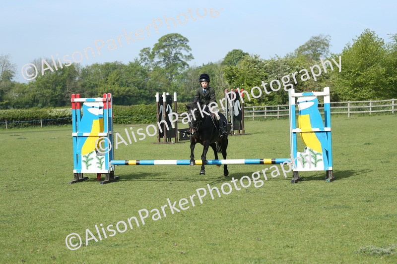 20260426-0202 - Class 13 - Rookie Jumping 50cm