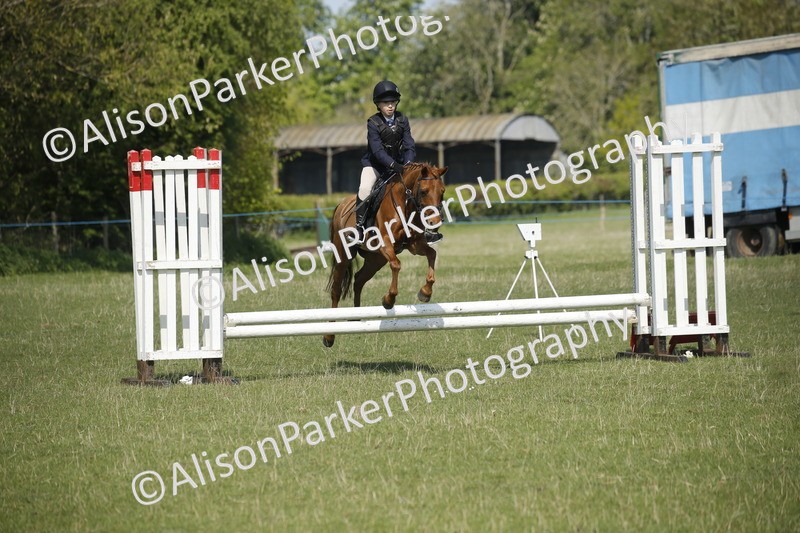 20250427-2077 - Class 13 - Novice Jumping 60cm