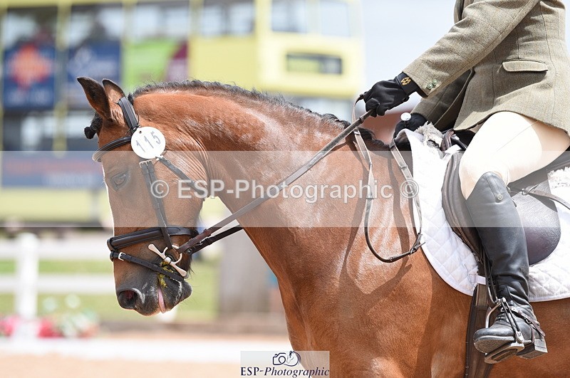 230702A-122154-09179 - Cls 21+23 Novice 28+34