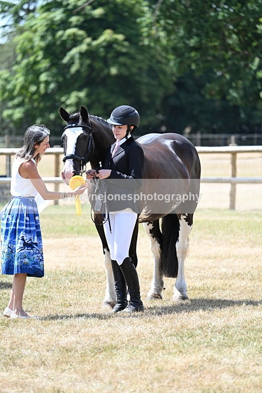 WJ7_2041 - Class 4a Prettiest Mare 14.2hh and over hand