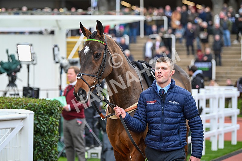 171124-Race 2-Paddock-Leader In The Park-2787 - Race 2